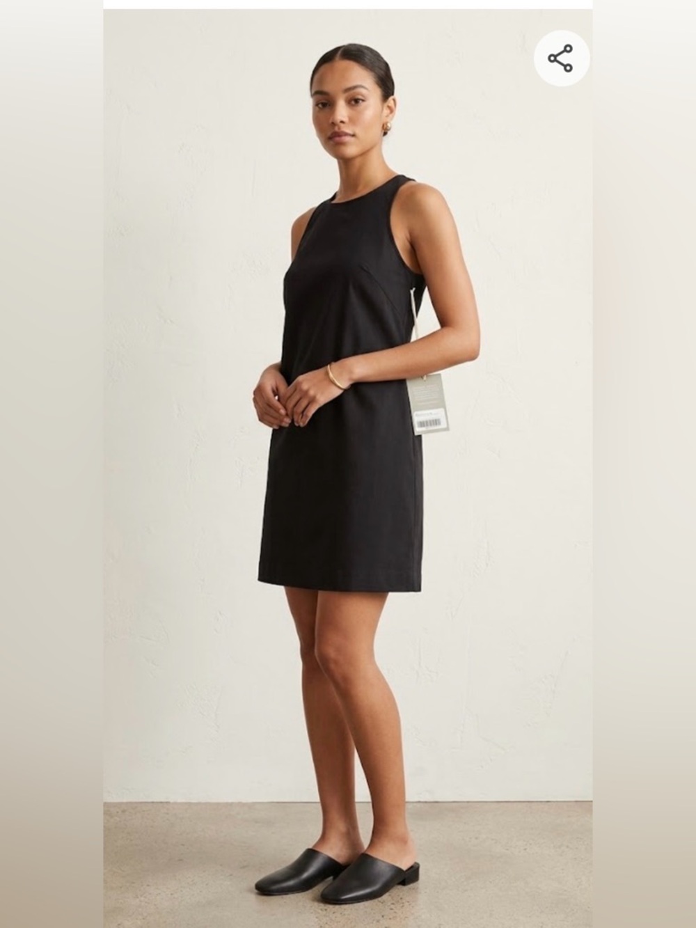 Everlane Black Sleeveless Mini Shift Dress